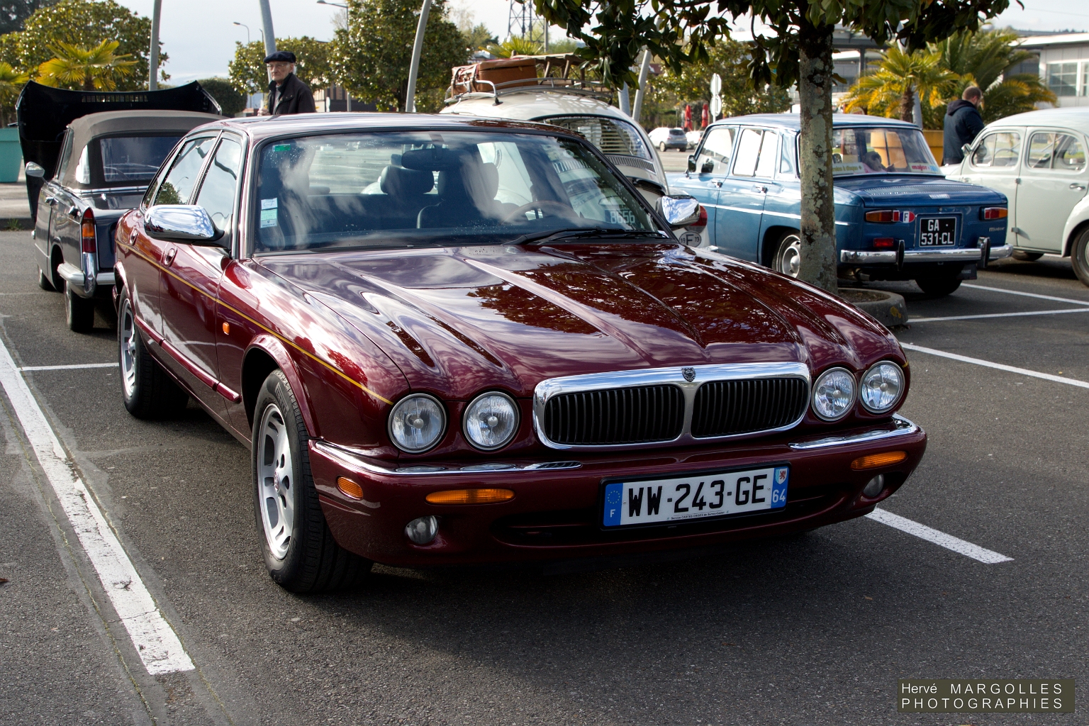 Jaguar XJ.jpg